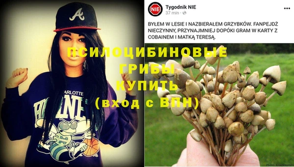 Альфа ПВП Инсар