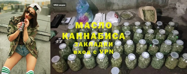 Альфа ПВП Инсар