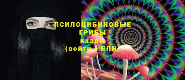 Альфа ПВП Инсар