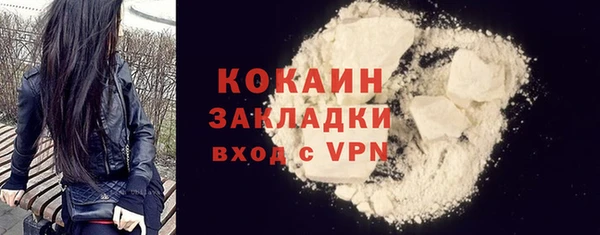 Альфа ПВП Инсар