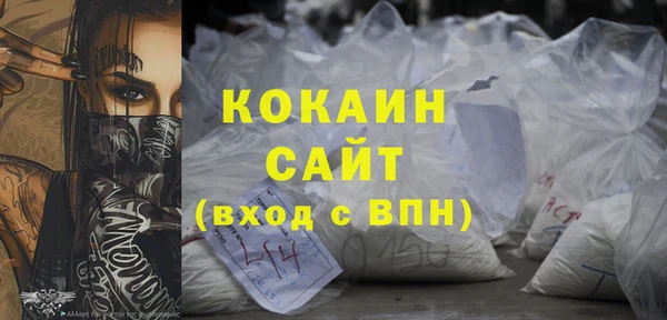 Альфа ПВП Инсар